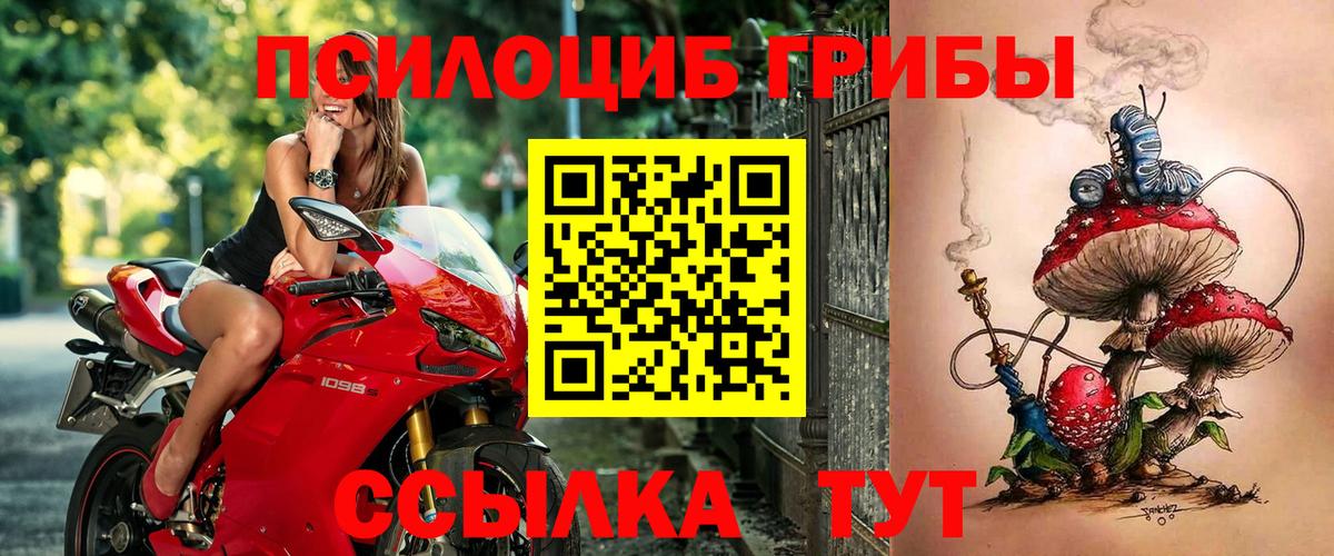 Галлюциногенные грибы Psilocybe  Вход с VPN  Новочеркасск 
